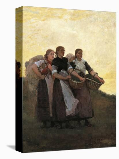 Hark! the Lark, 1882-Winslow Homer-Stretched Canvas