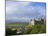 Harlech Castle in Summer Sunshine, UNESCO World Heritage Site, Gwynedd, Wales, UK, Europe-Peter Barritt-Mounted Photographic Print