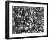 Harlem Crowd Celebrating Joe Louis' Against Victory Against Primo Carnera, 1935-null-Framed Photo