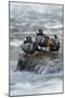 Harlequin Drakes Resting in Fresh Water Rapids-Ken Archer-Mounted Photographic Print