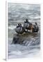 Harlequin Drakes Resting in Fresh Water Rapids-Ken Archer-Framed Photographic Print