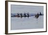 Harlequin Ducks-Ken Archer-Framed Photographic Print