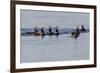 Harlequin Ducks-Ken Archer-Framed Photographic Print