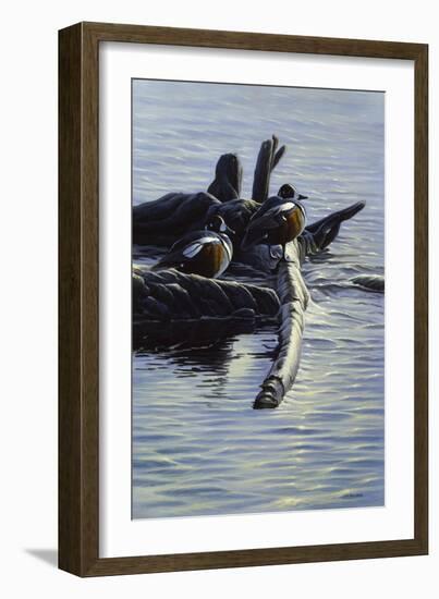 Harlequin Ducks-Michael Budden-Framed Giclee Print