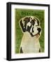 Harlequin Great Dane No Crop-John W Golden-Framed Giclee Print