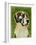 Harlequin Great Dane No Crop-John W Golden-Framed Giclee Print