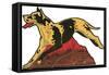 Harlequin Great Dane-null-Framed Stretched Canvas