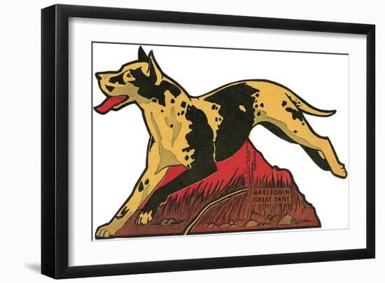 Harlequin Great Dane-null-Framed Art Print