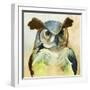 Harlequin Hibou II-Grace Popp-Framed Art Print