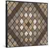 Harlequin (Neutrals)-Susan Clickner-Stretched Canvas