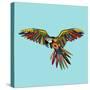 Harlequin Parrot-Sharon Turner-Stretched Canvas