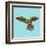 Harlequin Parrot-Sharon Turner-Framed Art Print