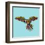 Harlequin Parrot-Sharon Turner-Framed Art Print