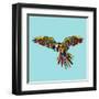 Harlequin Parrot-Sharon Turner-Framed Art Print