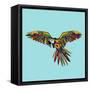 Harlequin Parrot-Sharon Turner-Framed Stretched Canvas