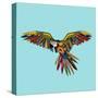 Harlequin Parrot-Sharon Turner-Stretched Canvas