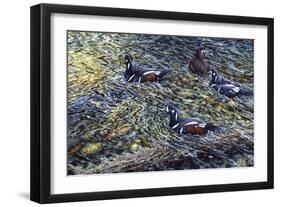 Harlequin Romance-Jeff Tift-Framed Giclee Print