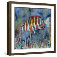 Harlequin Tusk Fish-Kestrel Michaud-Framed Giclee Print