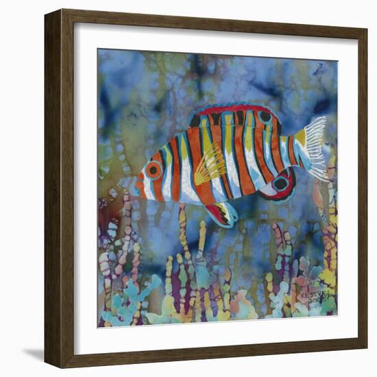 Harlequin Tusk Fish-Kestrel Michaud-Framed Giclee Print