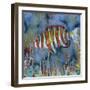 Harlequin Tusk Fish-Kestrel Michaud-Framed Giclee Print