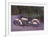 Harley Davidson Electra 1200c 1967-Forlag Hakan Eriksson-Framed Art Print