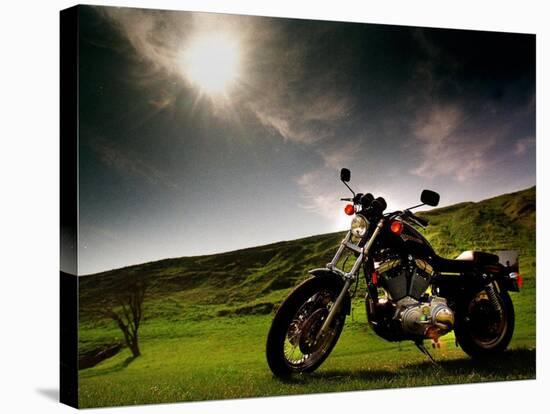 Harley Davidson Motorbike Sitting in Field, June 1998-null-Stretched Canvas