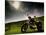 Harley Davidson Motorbike Sitting in Field, June 1998-null-Mounted Photographic Print