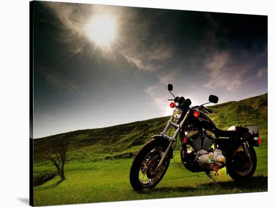 Harley Davidson Motorbike Sitting in Field, June 1998-null-Stretched Canvas