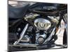 Harley Davidson Motorcycle, Key West, Florida, USA-R H Productions-Mounted Photographic Print