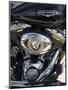 Harley Davidson Motorcycle, Key West, Florida, USA-R H Productions-Mounted Photographic Print