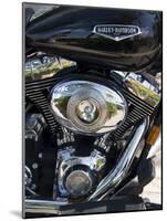 Harley Davidson Motorcycle, Key West, Florida, USA-R H Productions-Mounted Photographic Print