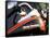 Harley Davidson Motorcycle-null-Framed Stretched Canvas