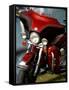 Harley Davidson Motorcycle-null-Framed Stretched Canvas