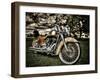 Harley-Stephen Arens-Framed Photographic Print