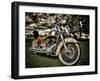 Harley-Stephen Arens-Framed Photographic Print