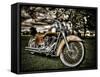 Harley-Stephen Arens-Framed Stretched Canvas