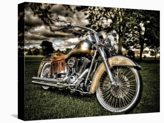 Harley-Stephen Arens-Stretched Canvas