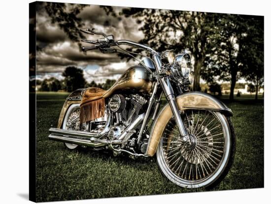 Harley-Stephen Arens-Stretched Canvas