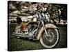Harley-Stephen Arens-Stretched Canvas