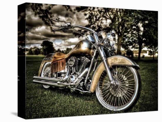 Harley-Stephen Arens-Stretched Canvas