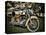 Harley-Stephen Arens-Stretched Canvas