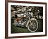 Harley-Stephen Arens-Framed Photographic Print