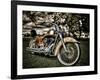 Harley-Stephen Arens-Framed Photographic Print