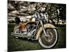 Harley-Stephen Arens-Mounted Photographic Print