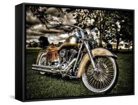 Harley-Stephen Arens-Framed Stretched Canvas