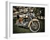 Harley-Stephen Arens-Framed Premium Photographic Print