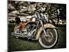 Harley-Stephen Arens-Mounted Premium Photographic Print