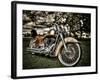 Harley-Stephen Arens-Framed Photographic Print