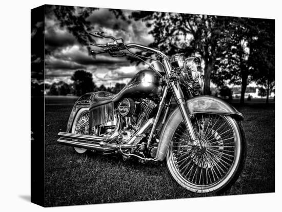 Harley-Stephen Arens-Stretched Canvas
