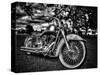 Harley-Stephen Arens-Stretched Canvas